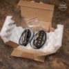 set de micros telecaster Dreamsongs T-Modern