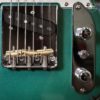 Minicaster Vert Metal