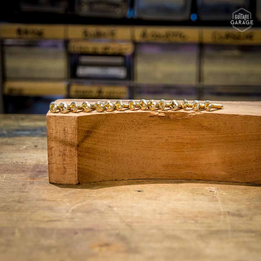 Lot de vis de pickguard Gold Style Fender Vintage Relic By Guitare Garage